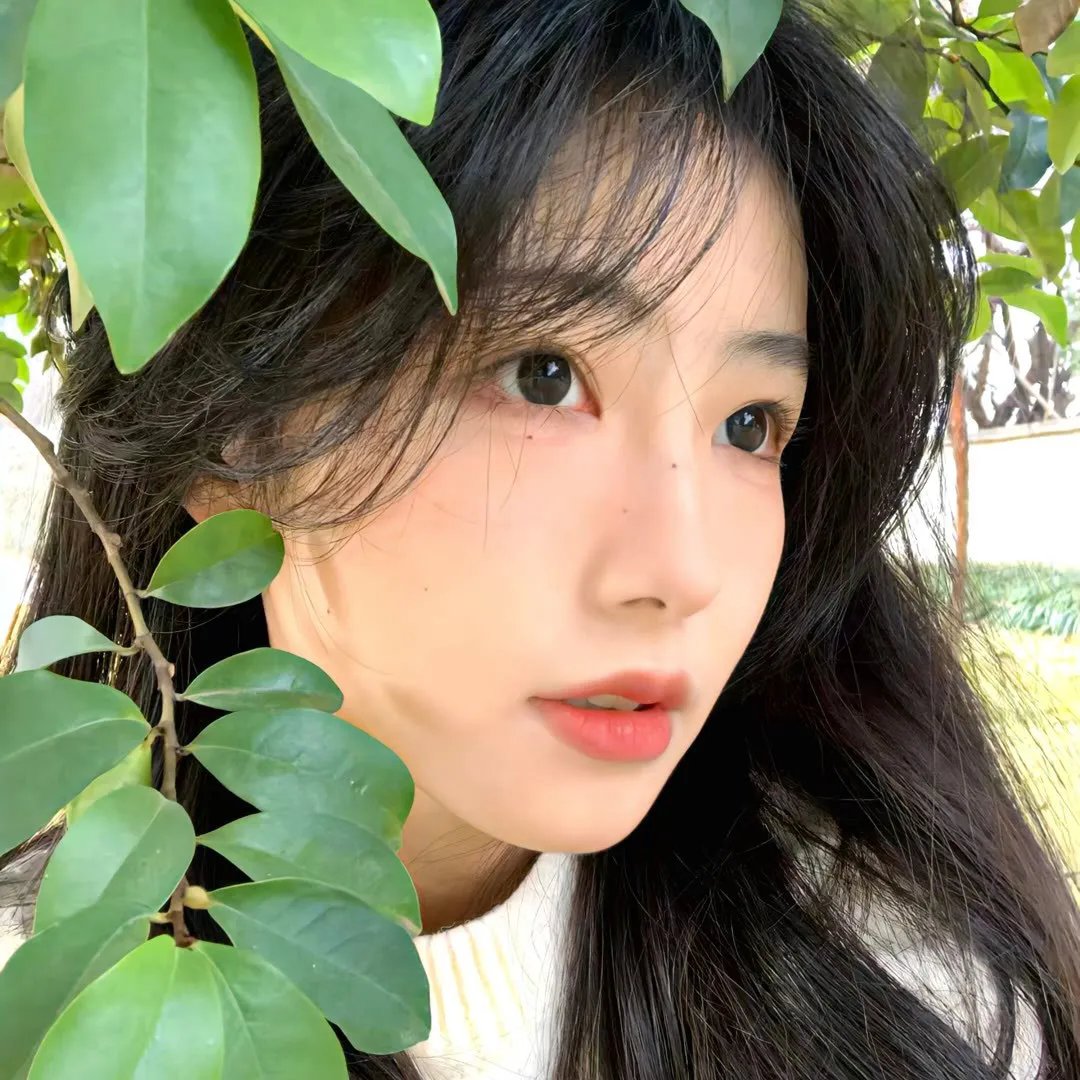 真实的人类第一季 封面
